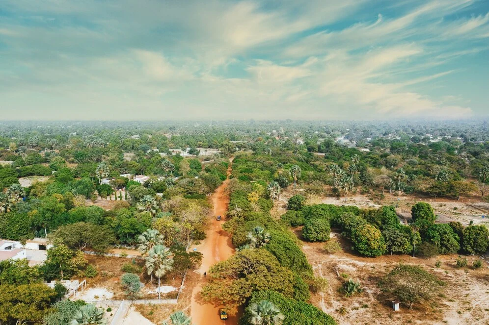 The Area